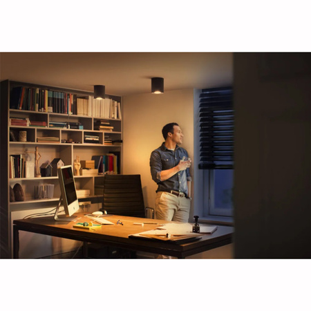 LED Spot Pillar Schwarz 4.2W CCT PHILIPS HUE Bluetooth Zigbee Deckenleuchte + Dimmschalter