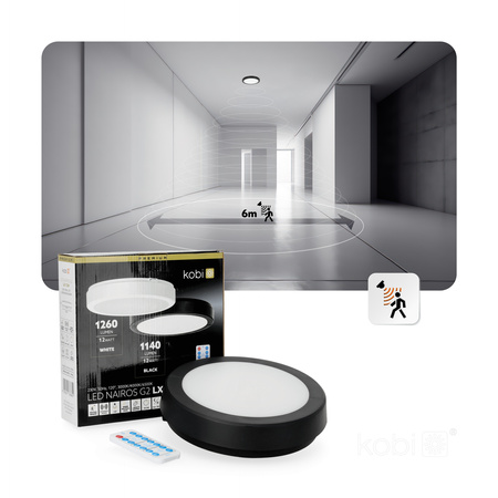 LED-Deckenleuchte für Außenanbau 12W 1140lm 4000K 120° mit Bewegungs- und Dämmerungssensor Schwarz IP65 Nairos Kobi