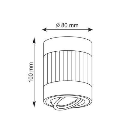 Aufbaustrahler RUBIN PASKI GU10 Tuba Spot Round Moving White GOLDLUX