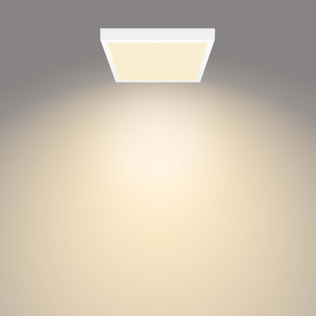 Plafond Panel LED Deckenanbauleuchte MAGNEOS 20W 2700K 28cm Weiß Downlight Square PHILIPS