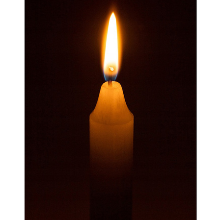 Tischkerze 6 Stück traditionelles Weiß ohne Duft