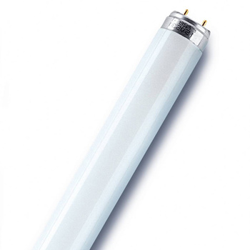 G13 T8 Leuchtstoffröhren 36W 3350lm 4000K Neutral 1200mm OSRAM