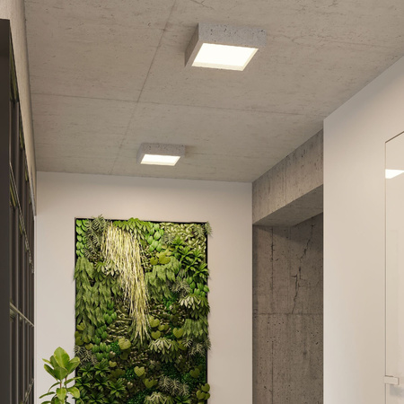 Anbauleuchte RIZA LED 18W 3000K Deckenaufbauleuchten Industriegrau SOLLUX