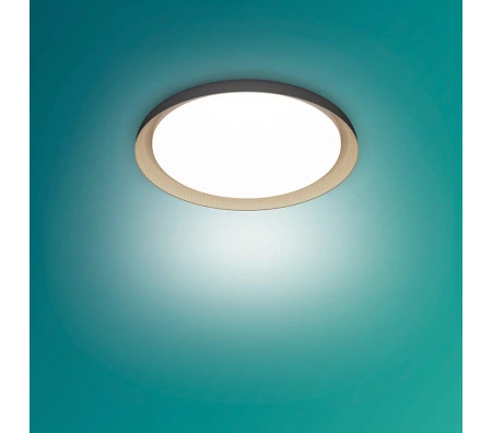 LED Plafond Deckenleuchte 10W 1950lm 4000K SceneSwitch Schwarz Pebblo Ultra Efficient Philips